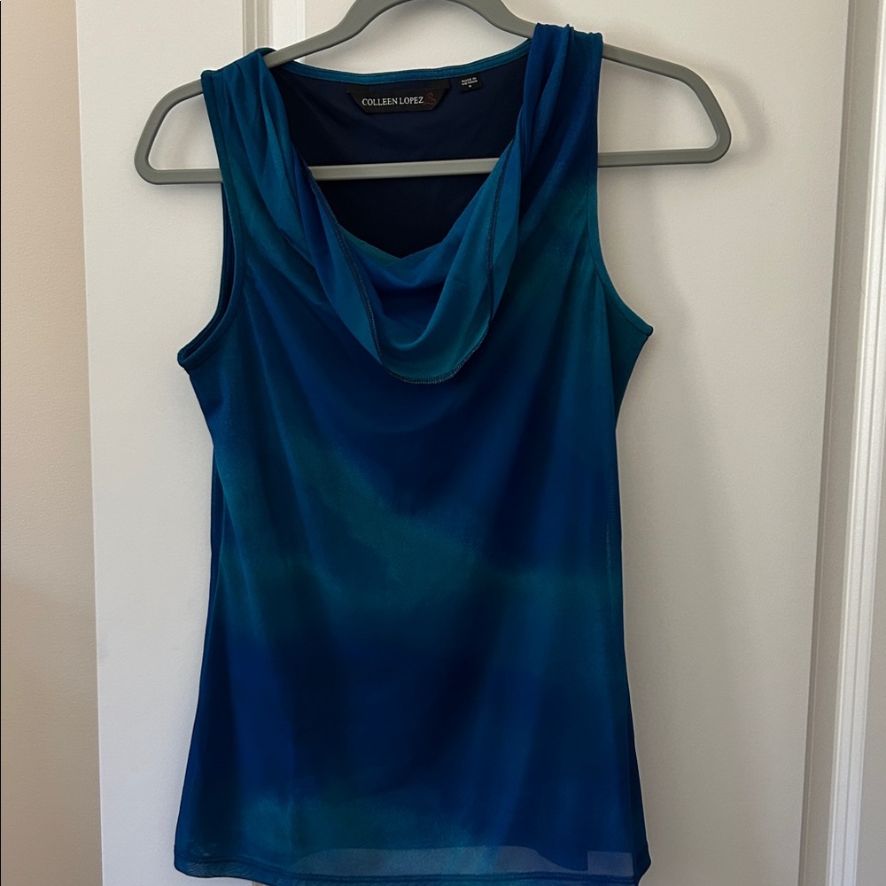 Colleen Lopez Vibrant Blue Sheer Blouse